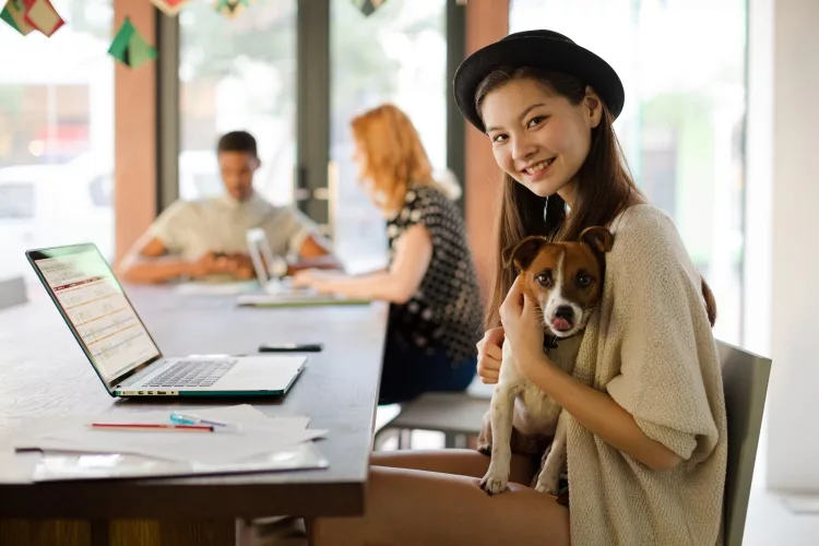 How To Say Dog In Mandarin