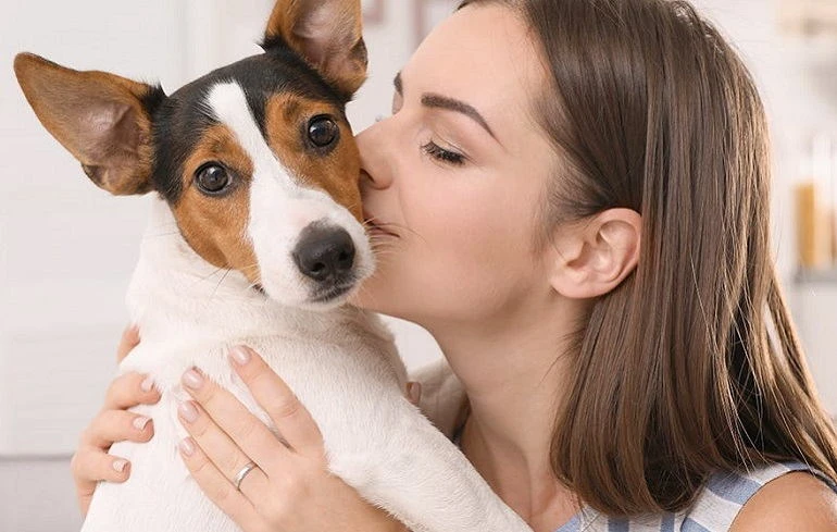 Do Dogs Understand Kisses