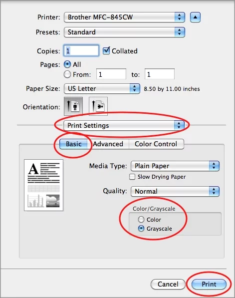 When you're ready to print, click Print.