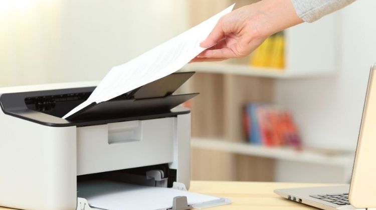 Best Printer For Senior Citizens